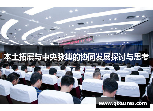 本土拓展与中央脉搏的协同发展探讨与思考